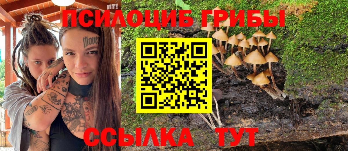 Псилоцибиновые грибы Psilocybe  Галлюциногенные грибы ЛСД  Вход с VPN  магазин  наркотиков  Михайловск 