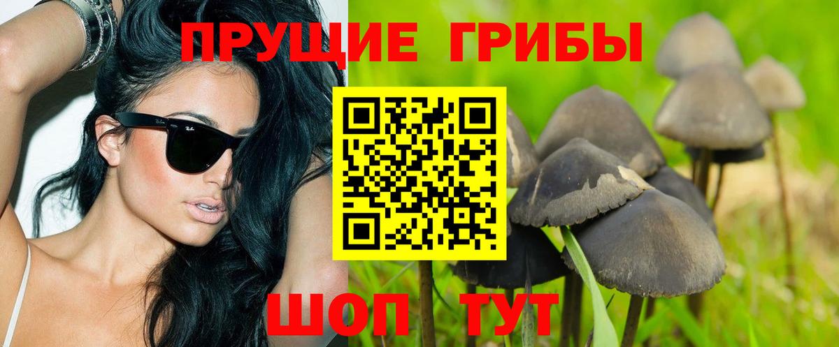 Псилоцибиновые грибы мицелий Михайловск